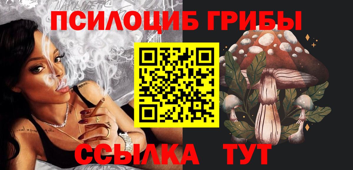 Пушкино  Псилоцибиновые грибы мухоморы  Вход с VPN  Псилоцибиновые грибы Magic Shrooms 