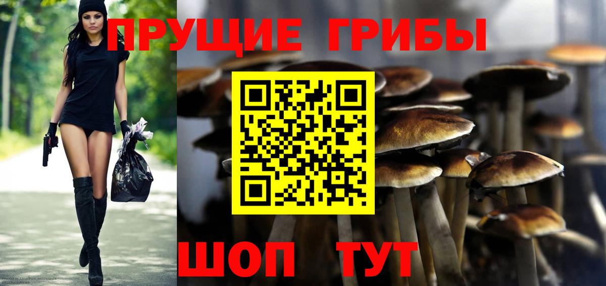 Галлюциногенные грибы Magic Shrooms Пушкино